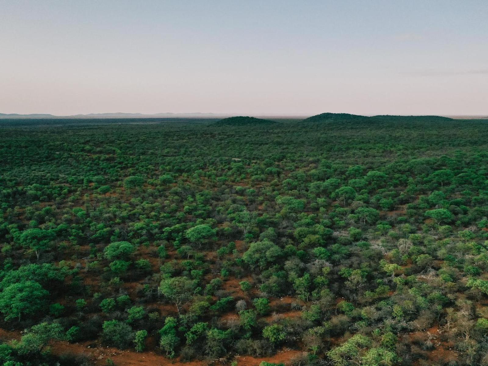 Kifaru Bush Camp Hotel Оутджо Екстериор снимка